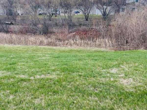 Lot 5 - Block 1 Earley Lake Park, Burnsville, MN 55306