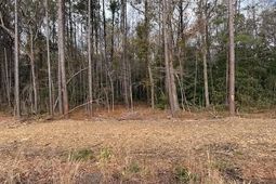 7.4 Acs Kates Bay Hwy. photo 4