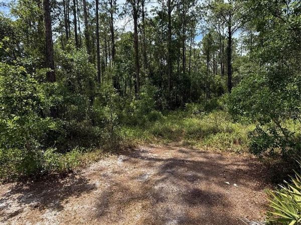 TBD NE 156TH LANE, FORT MC COY, FL 32134