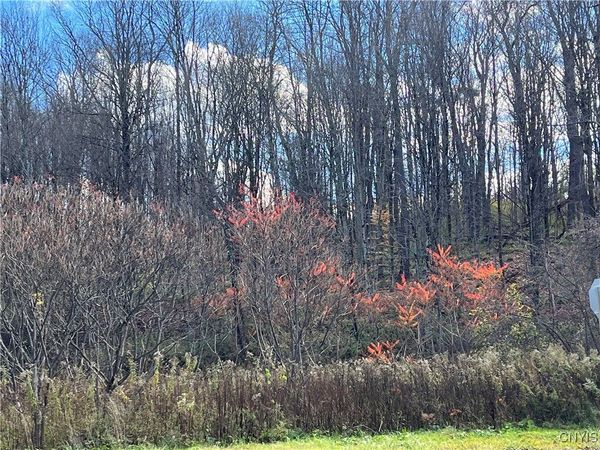 0000 Nys Route 28, Barneveld, NY 13304