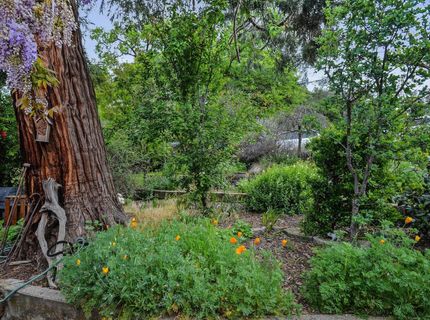 14849 Bunker Hill Rd, Amador City, CA 95601 Photo