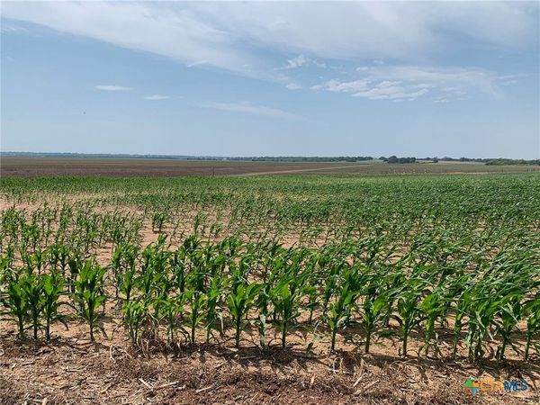 TBD County Road 448, Chilton, TX 76632