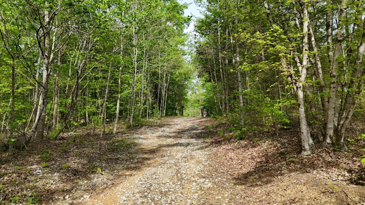 311 Old York Road, Cleveland, TN 37323 Main Photo