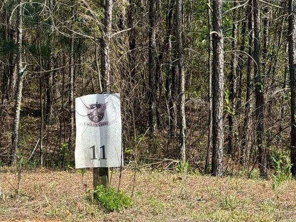 0 Eastview Trail, Ellijay, GA 30536