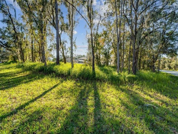 12505 LAKE HILLS DRIVE, RIVERVIEW, FL 33569