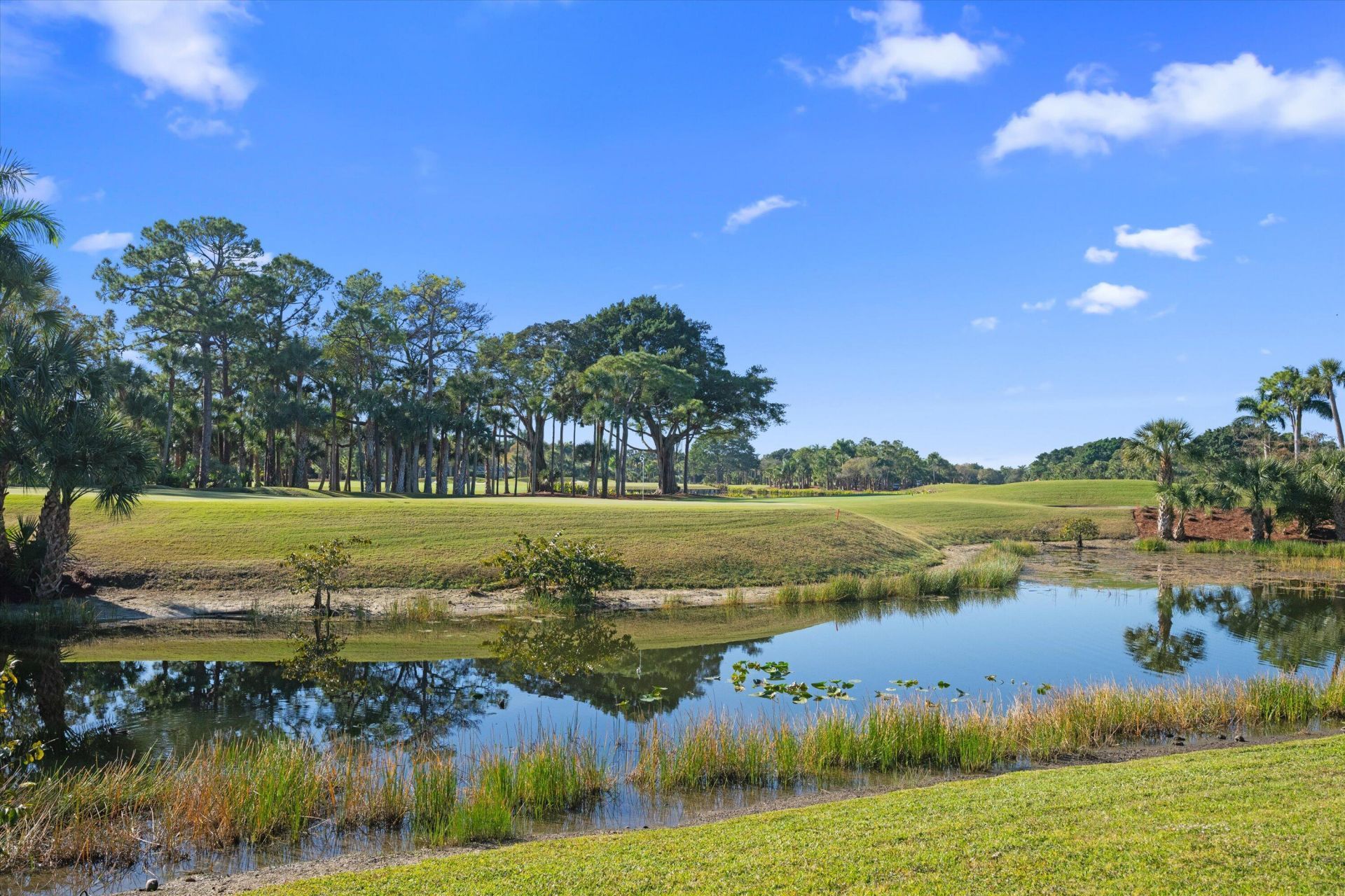 1648 Cypress Row Drive, West Palm Beach, FL 33411 Photo