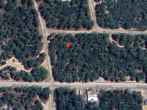 401 WIND ROSE AVENUE, LAKE PLACID, FL 33852