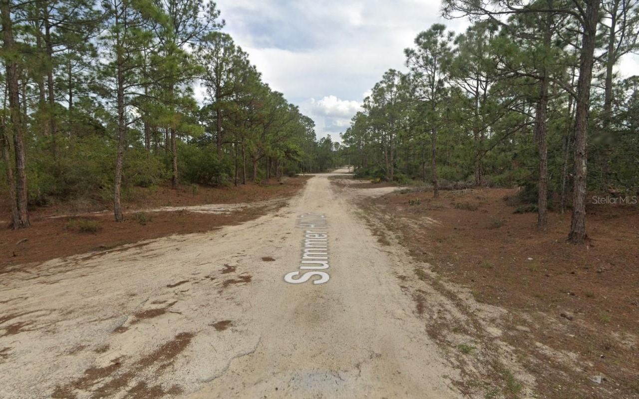 401 Wind Rose Avenue, Lake Placid, FL 33852 Photo