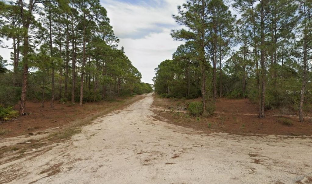 401 Wind Rose Avenue, Lake Placid, FL 33852 Photo