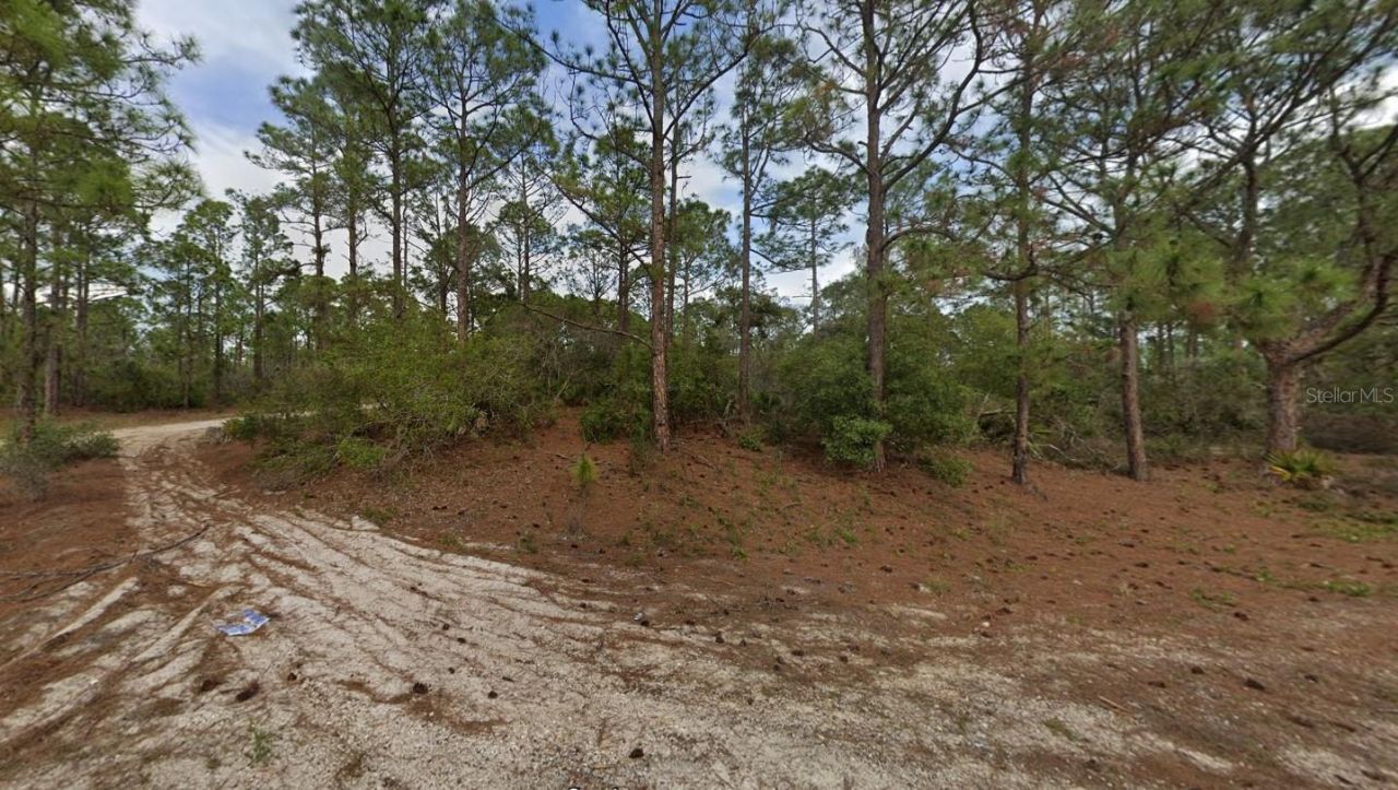 401 Wind Rose Avenue, Lake Placid, FL 33852 Photo