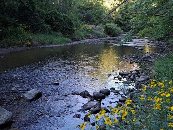 Lt7-8 LUCILLE LANE, Butler, WI 53007