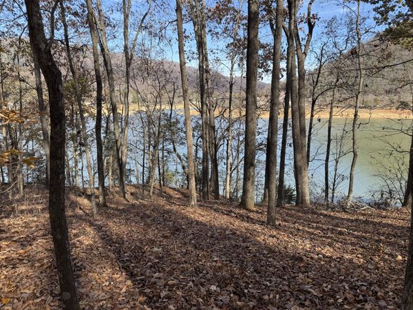 Lot 35 Five Oaks Circle, Whitesburg, TN 37891