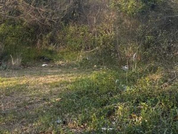 2664 CARVER ROAD, MILLERSVILLE, MD 21108