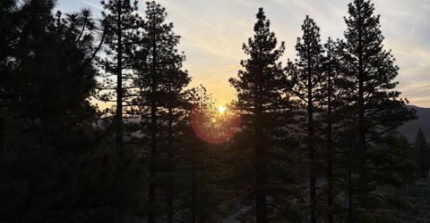 4690 W Pinewild Road, Reno, NV 89511 Photo