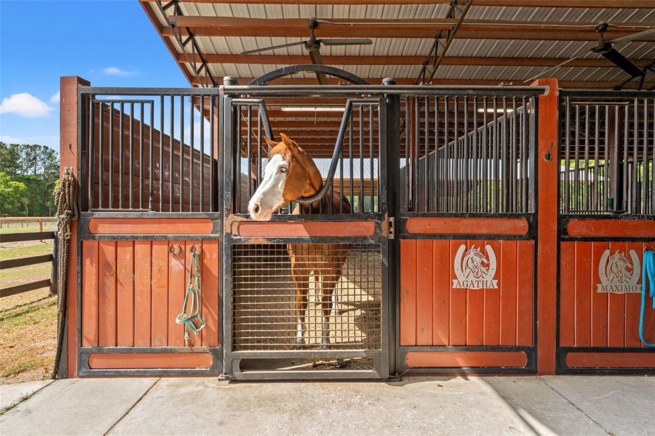 3431 Saturn Road, Brooksville, FL 34604 Photo