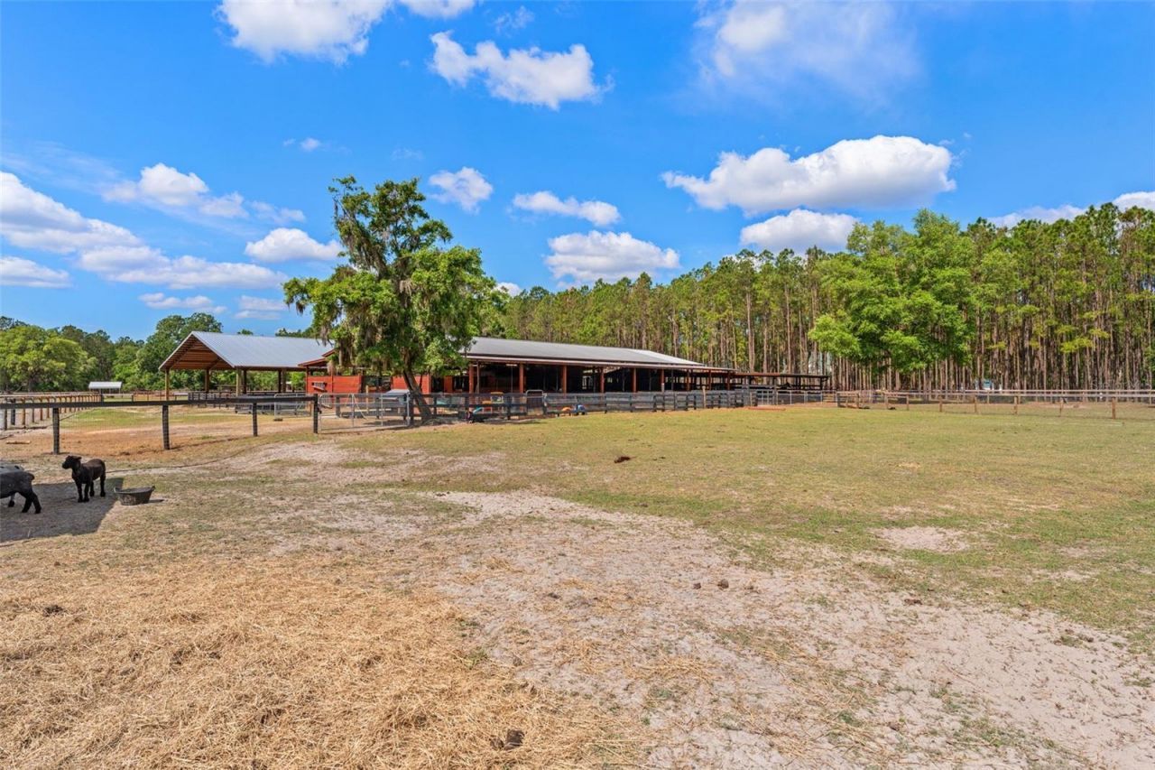 3431 Saturn Road, Brooksville, FL 34604 Photo