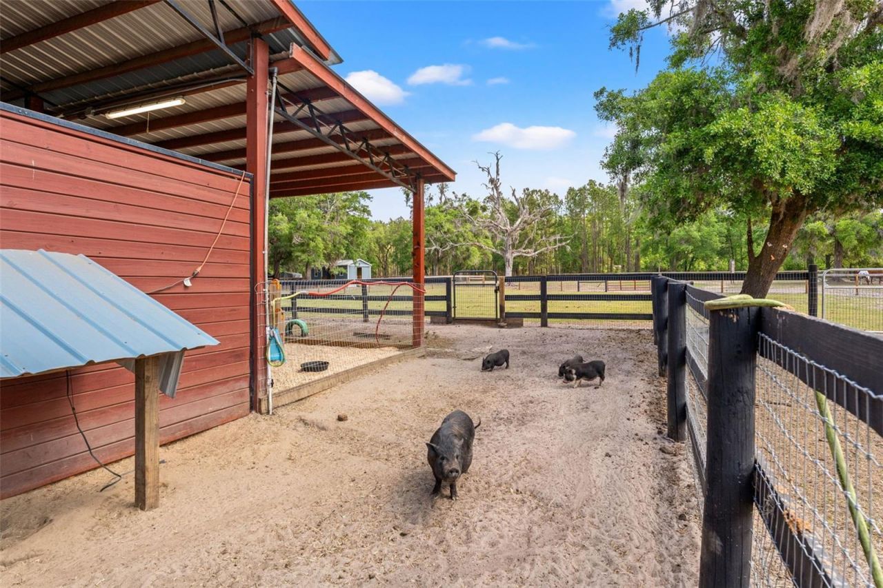 3431 Saturn Road, Brooksville, FL 34604 Photo