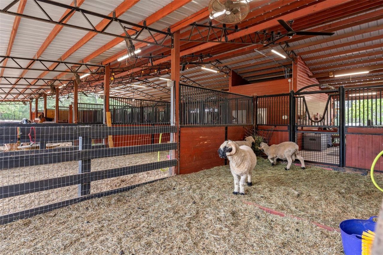 3431 Saturn Road, Brooksville, FL 34604 Photo