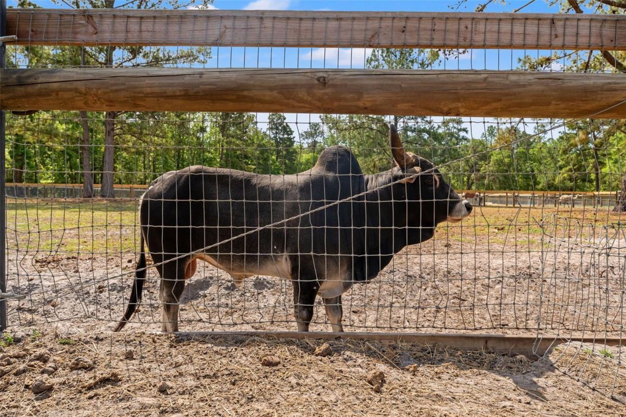 3431 Saturn Road, Brooksville, FL 34604 Photo