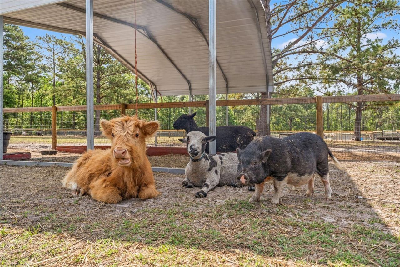 3431 Saturn Road, Brooksville, FL 34604 Photo