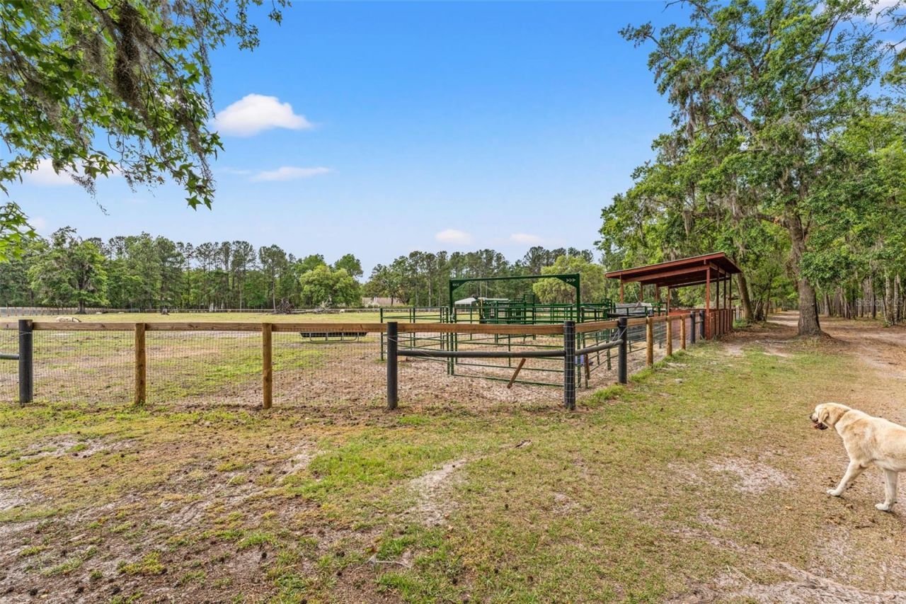 3431 Saturn Road, Brooksville, FL 34604 Photo