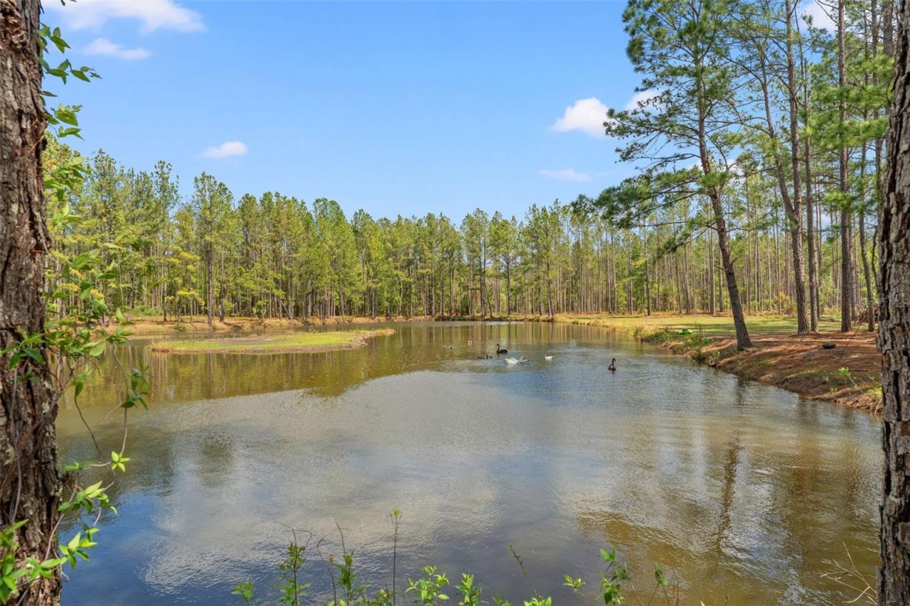 3431 Saturn Road, Brooksville, FL 34604 Photo