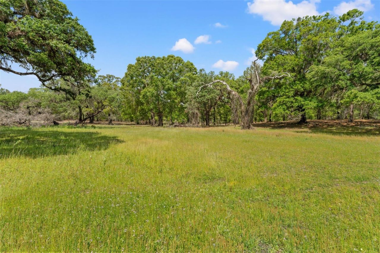 3431 Saturn Road, Brooksville, FL 34604 Photo