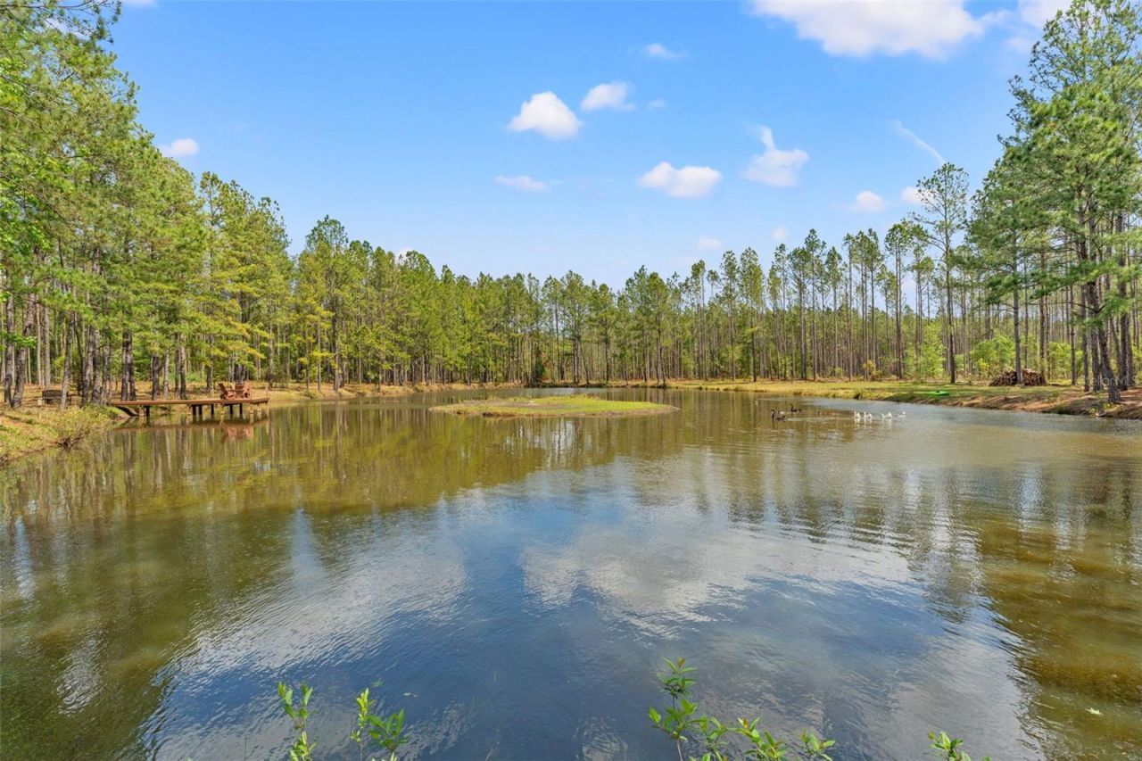 3431 Saturn Road, Brooksville, FL 34604 Photo