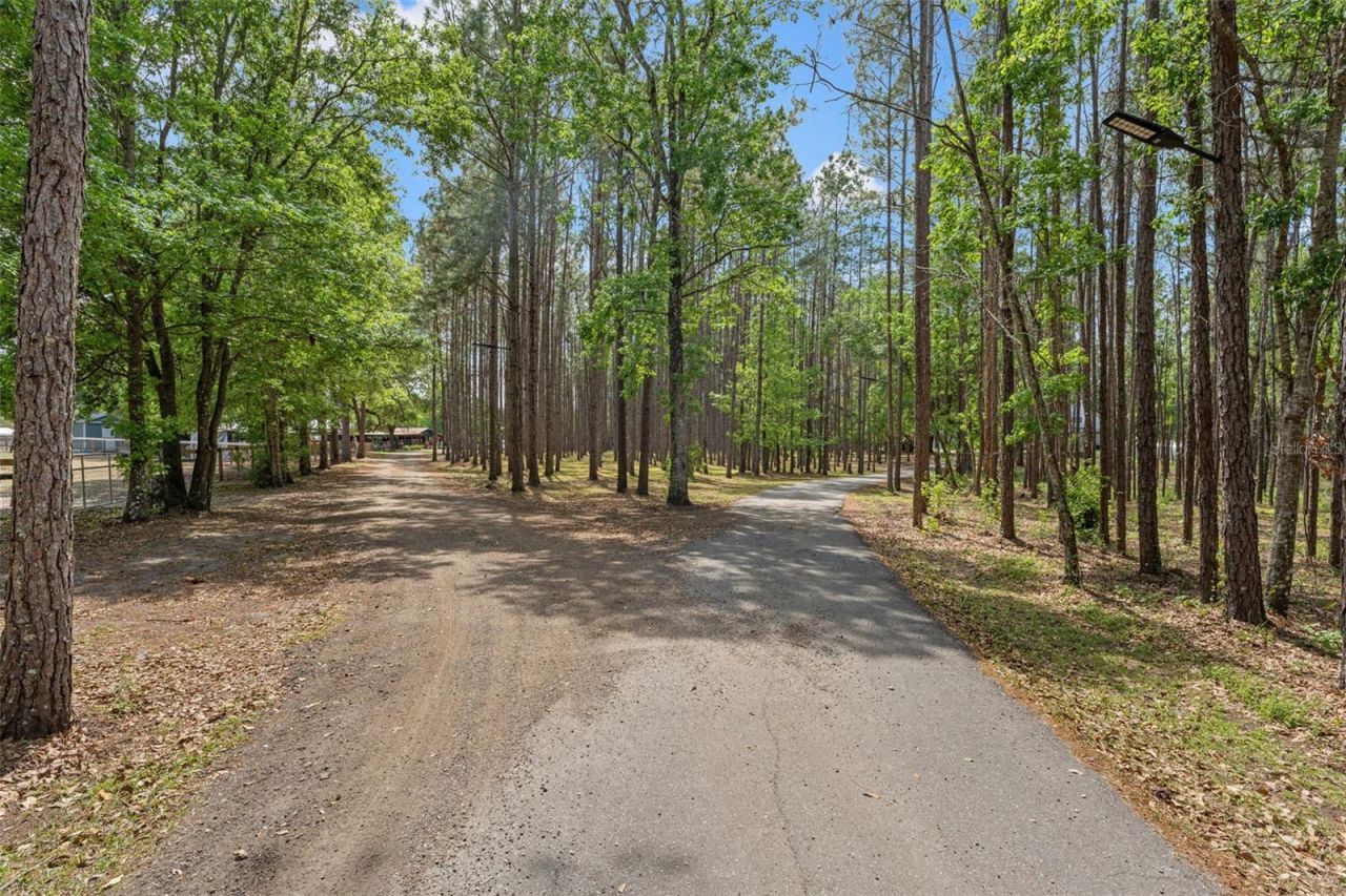 3431 Saturn Road, Brooksville, FL 34604 Photo