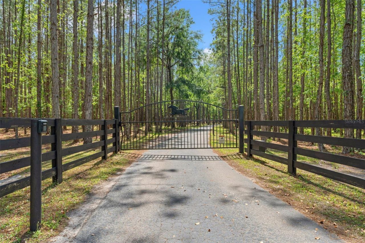 3431 Saturn Road, Brooksville, FL 34604 Photo