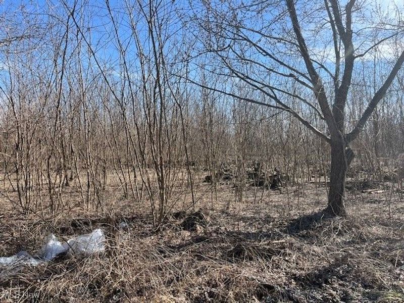 4363 State Route 43, Kent, OH 44240 Photo 6