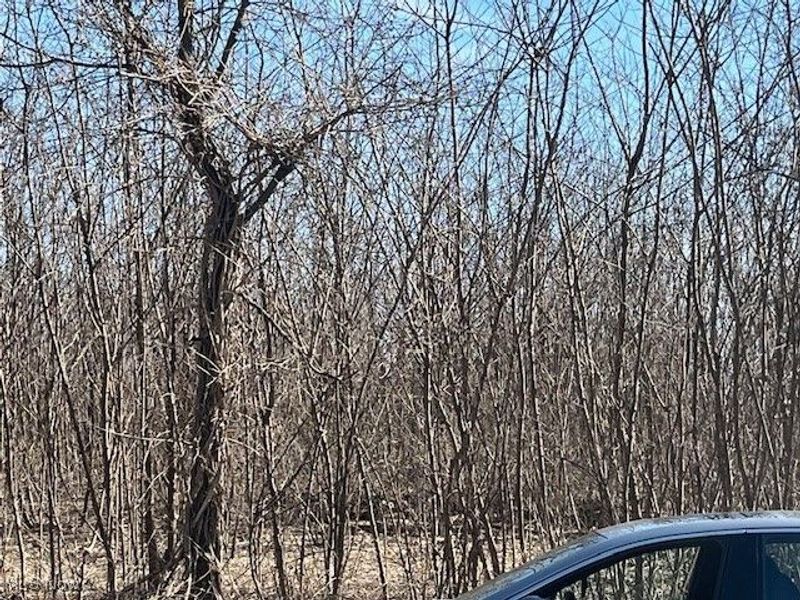 4363 State Route 43, Kent, OH 44240 Photo 9