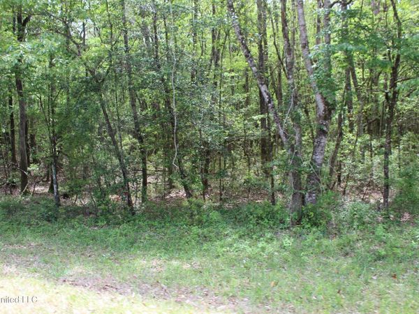 87.6 Acres Rousanville Road, Leakesville, MS 39451