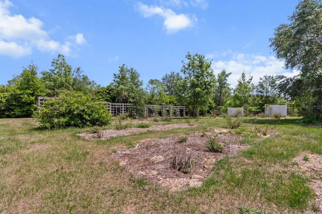 7073 N Lecanto Highway, Hernando, FL 34442 Photo