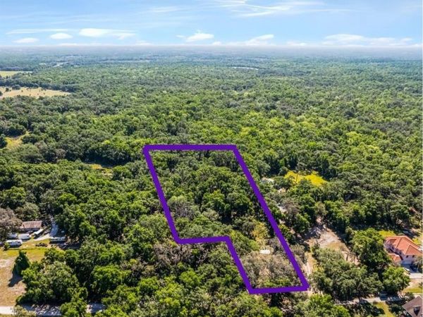 3633 PANTHER PATH ROAD, LUTZ, FL 33559