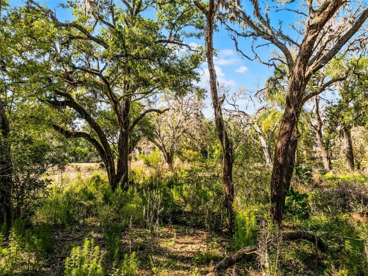 3633 Panther Path Road, Lutz, FL 33559 Photo