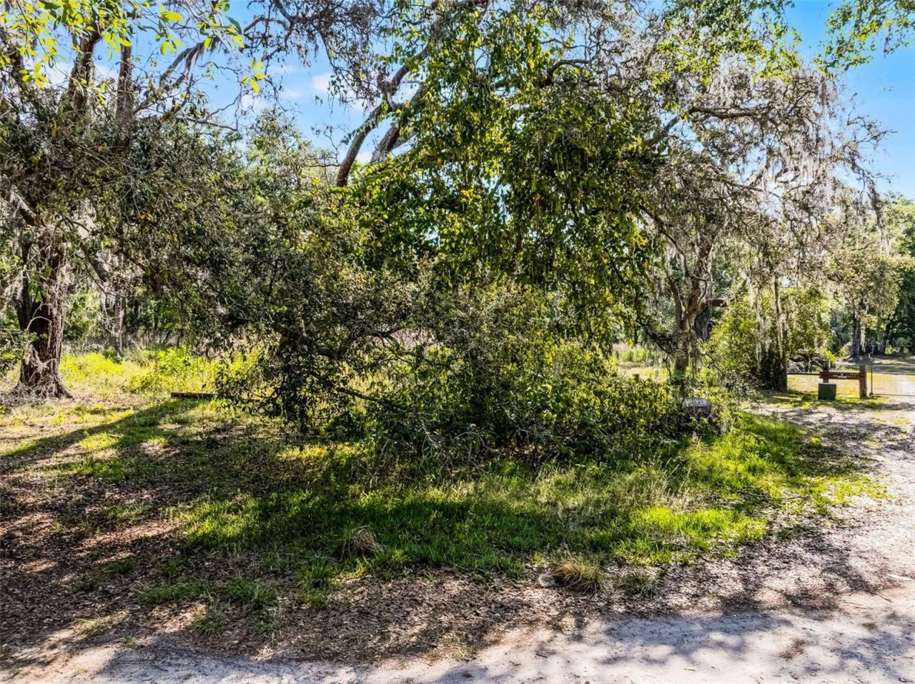 3633 Panther Path Road, Lutz, FL 33559 Photo