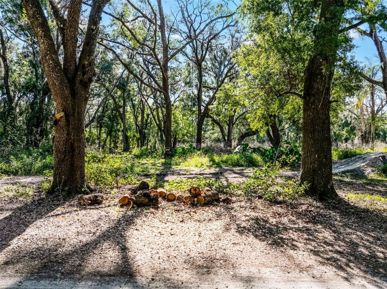 3633 Panther Path Road, Lutz, FL 33559 Photo