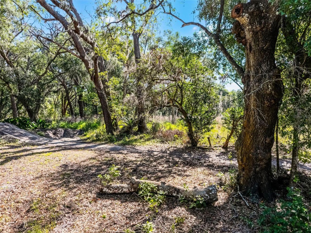 3633 Panther Path Road, Lutz, FL 33559 Photo