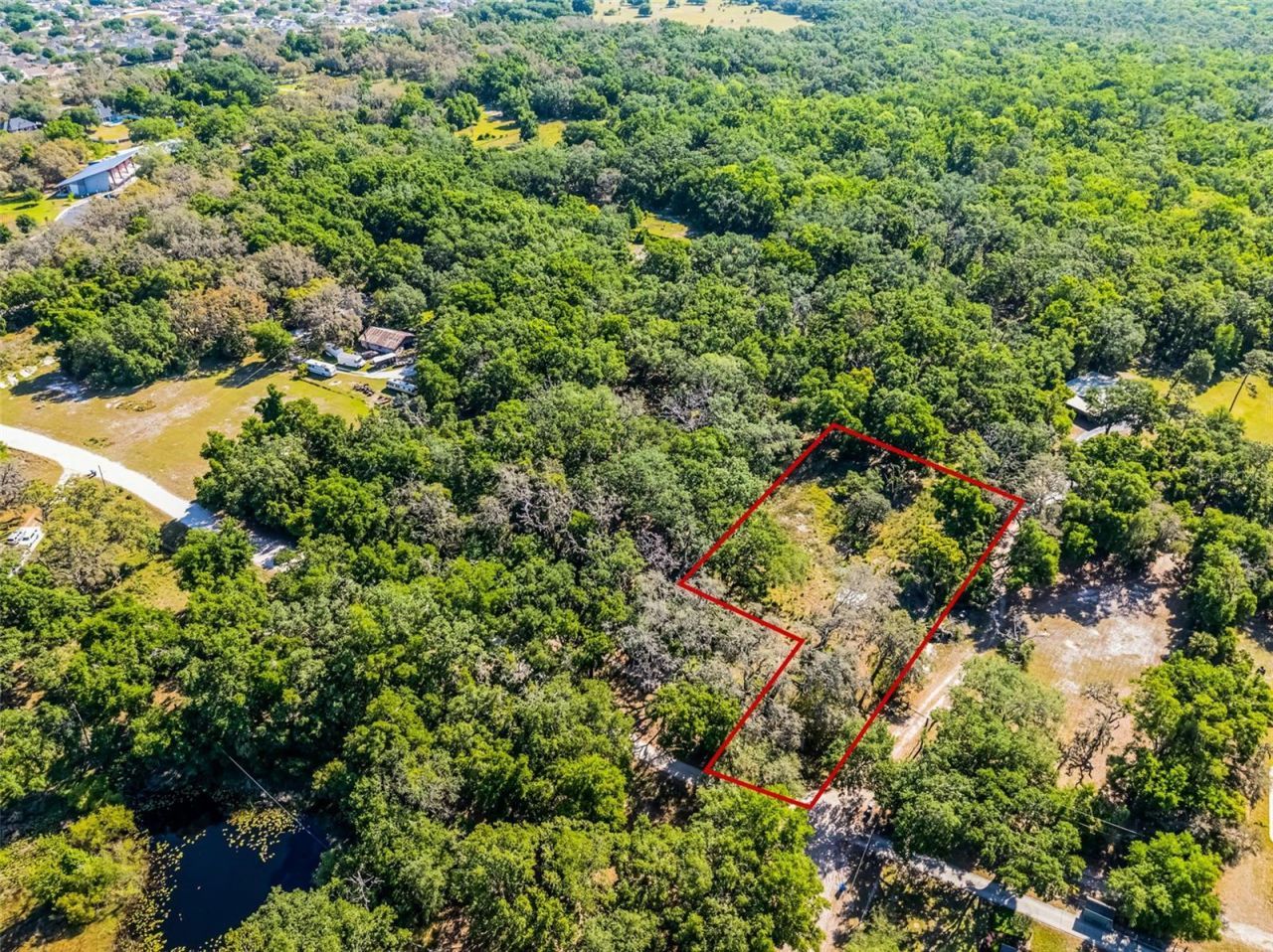 3633 Panther Path Road, Lutz, FL 33559 Photo