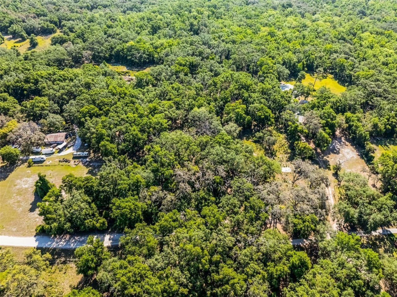 3633 Panther Path Road, Lutz, FL 33559 Photo