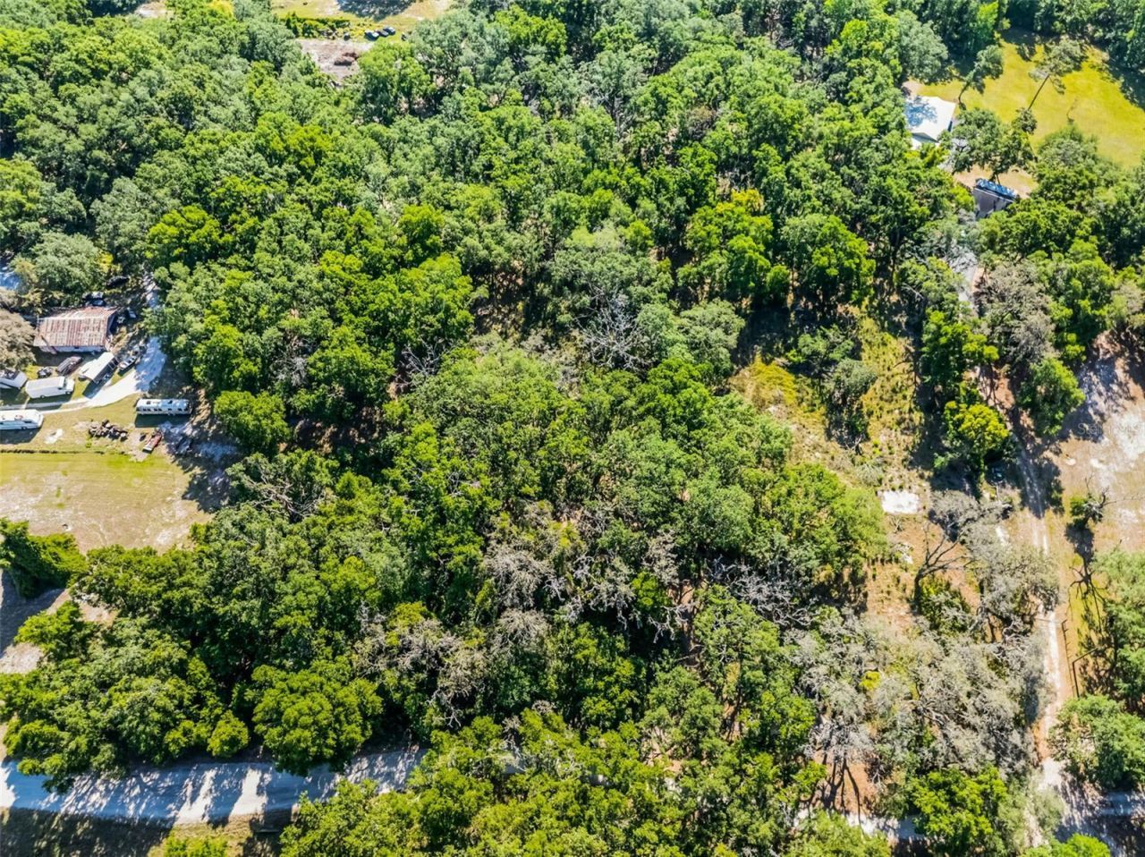 3633 Panther Path Road, Lutz, FL 33559 Photo