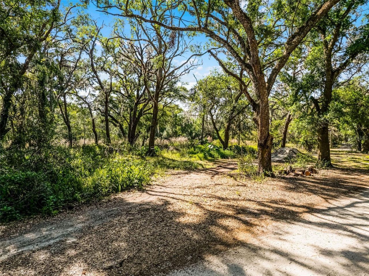 3633 Panther Path Road, Lutz, FL 33559 Photo