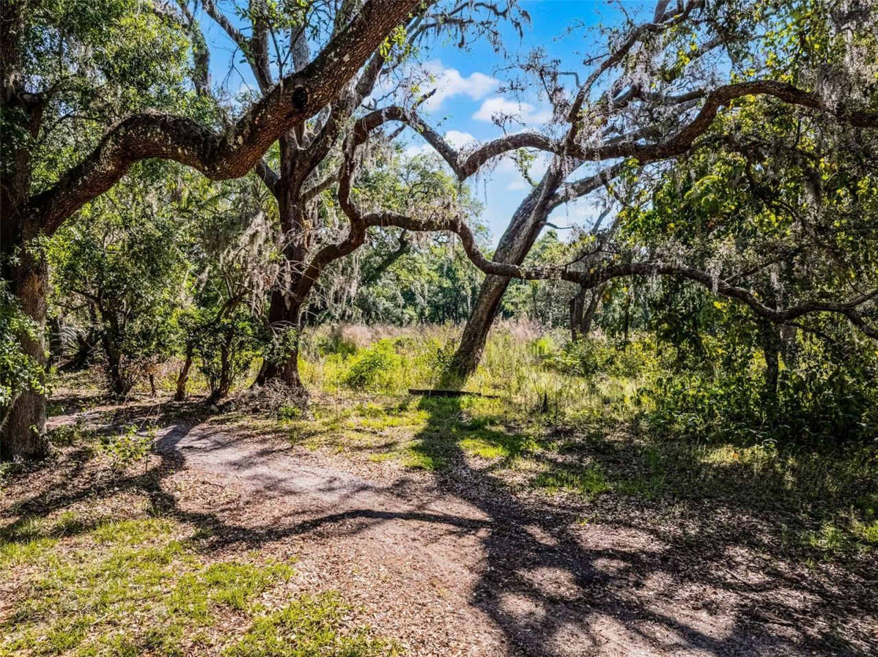 3633 Panther Path Road, Lutz, FL 33559 Photo