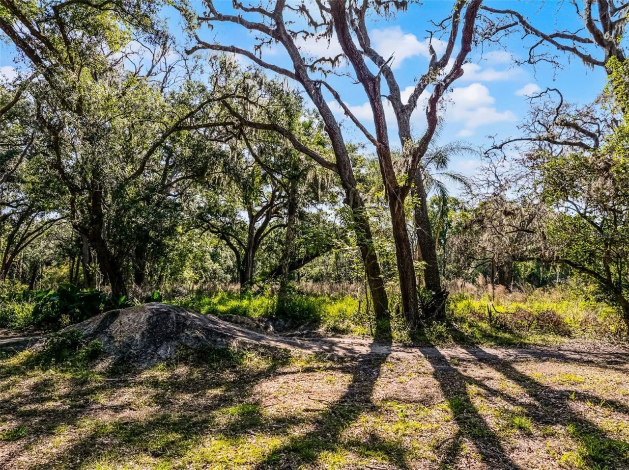 3633 Panther Path Road, Lutz, FL 33559 Photo