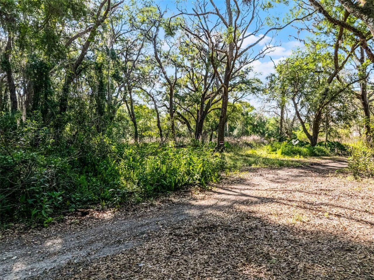 3633 Panther Path Road, Lutz, FL 33559 Photo