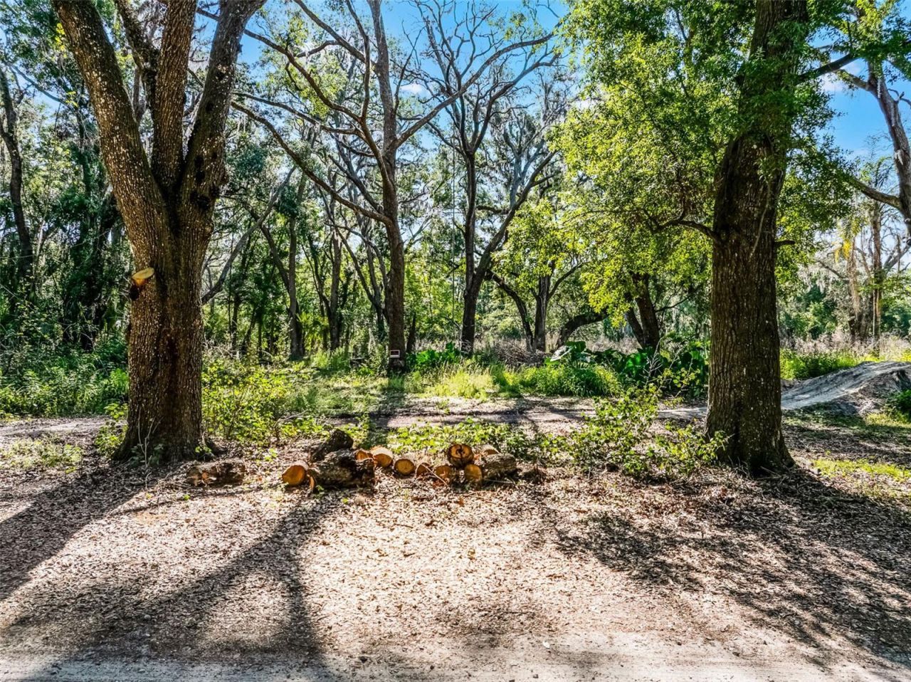 3633 Panther Path Road, Lutz, FL 33559 Photo