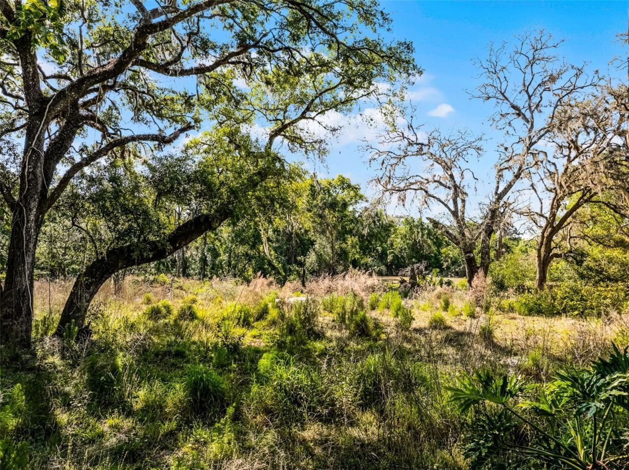 3633 Panther Path Road, Lutz, FL 33559 Photo