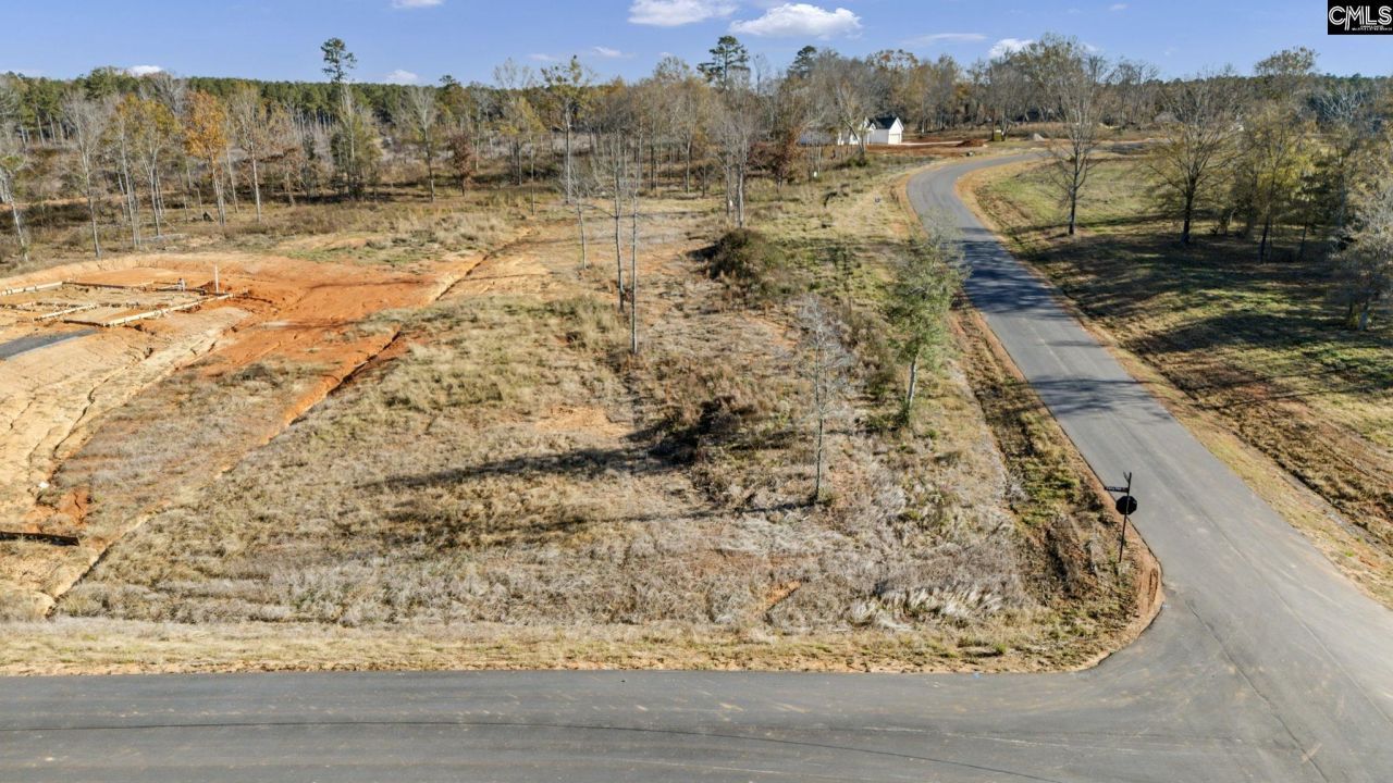 Ferry Phil Court Photo 4