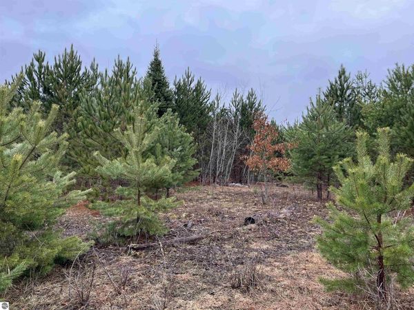 10299 Levi Lane, Kingsley, MI 49649